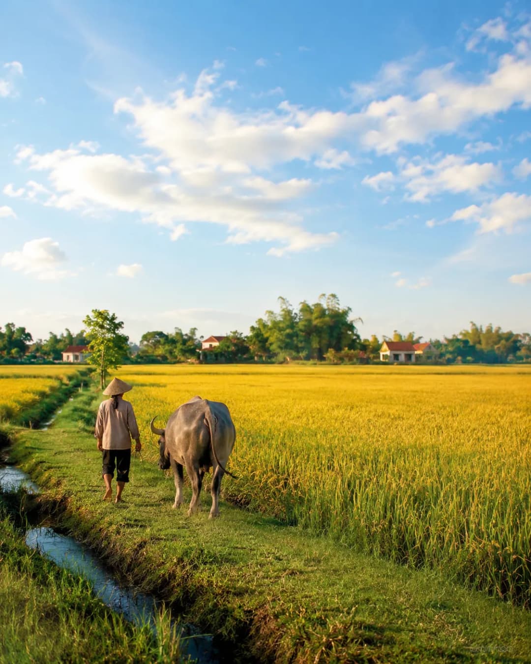 Bức ảnh dự thi nghệ thuật